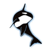 Dr. Orca