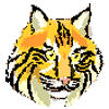 Lynx