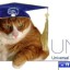 UMSolver v5.0.1.3