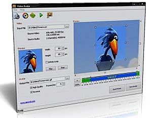 Video Avatar 2.3.0.53 Rus