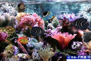 SimAQUARIUM Screensaver 2.7 Complete - Скринсейвер