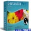 Gertrudis Pro 3.5