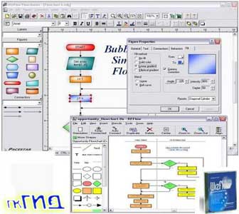 PaceStar WizFlow Professional v6.0