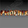 Как установить игру с помощью Phoenix?